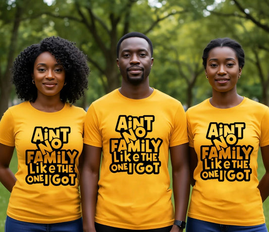 Ain't No Family Like The One I Got T-shirt