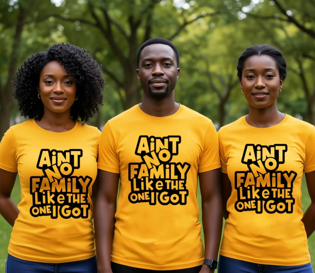 Ain't No Family Like The One I Got T-shirt